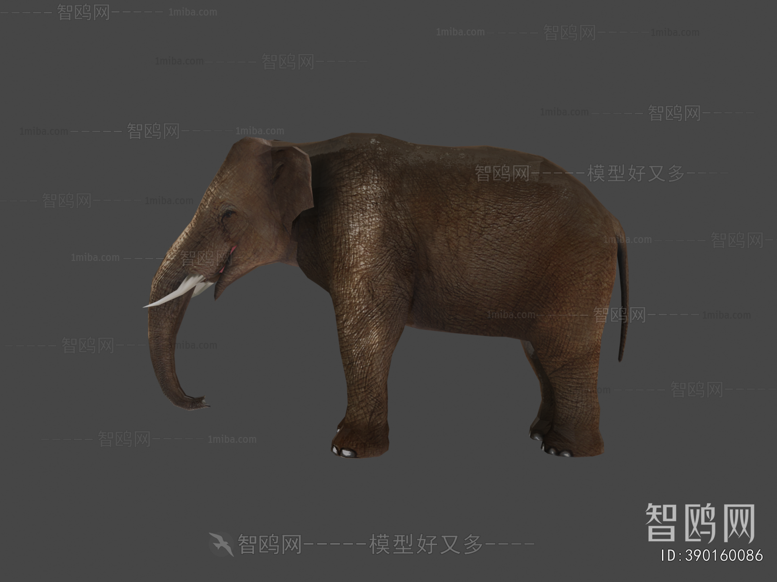 Modern Mammal