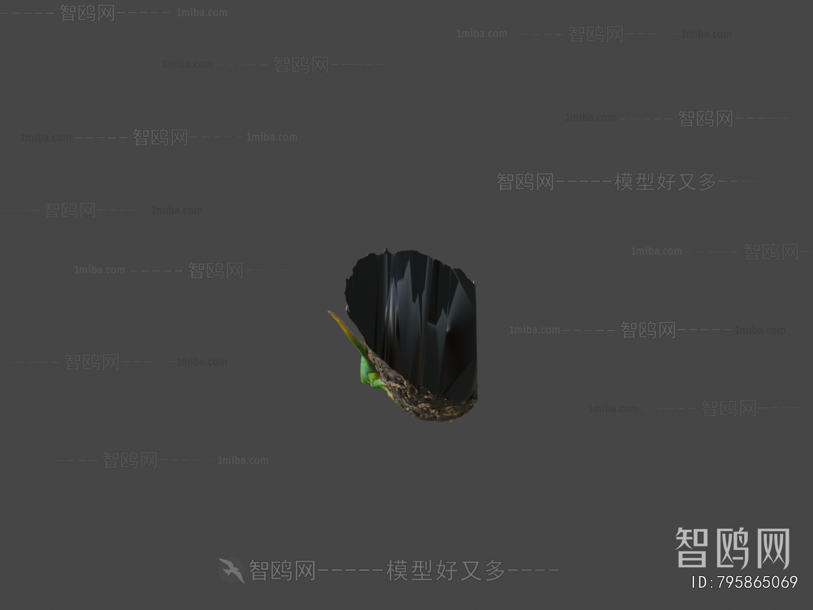 Modern Reptile