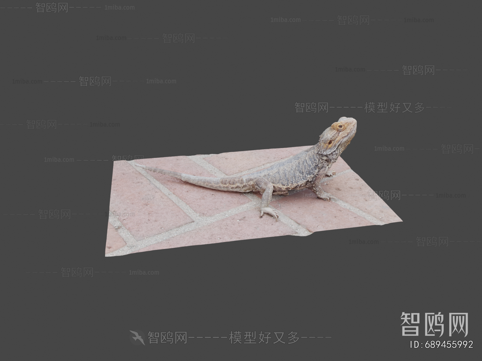 Modern Animal