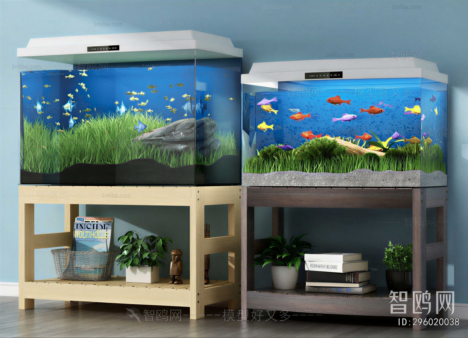 Modern Fish Tank