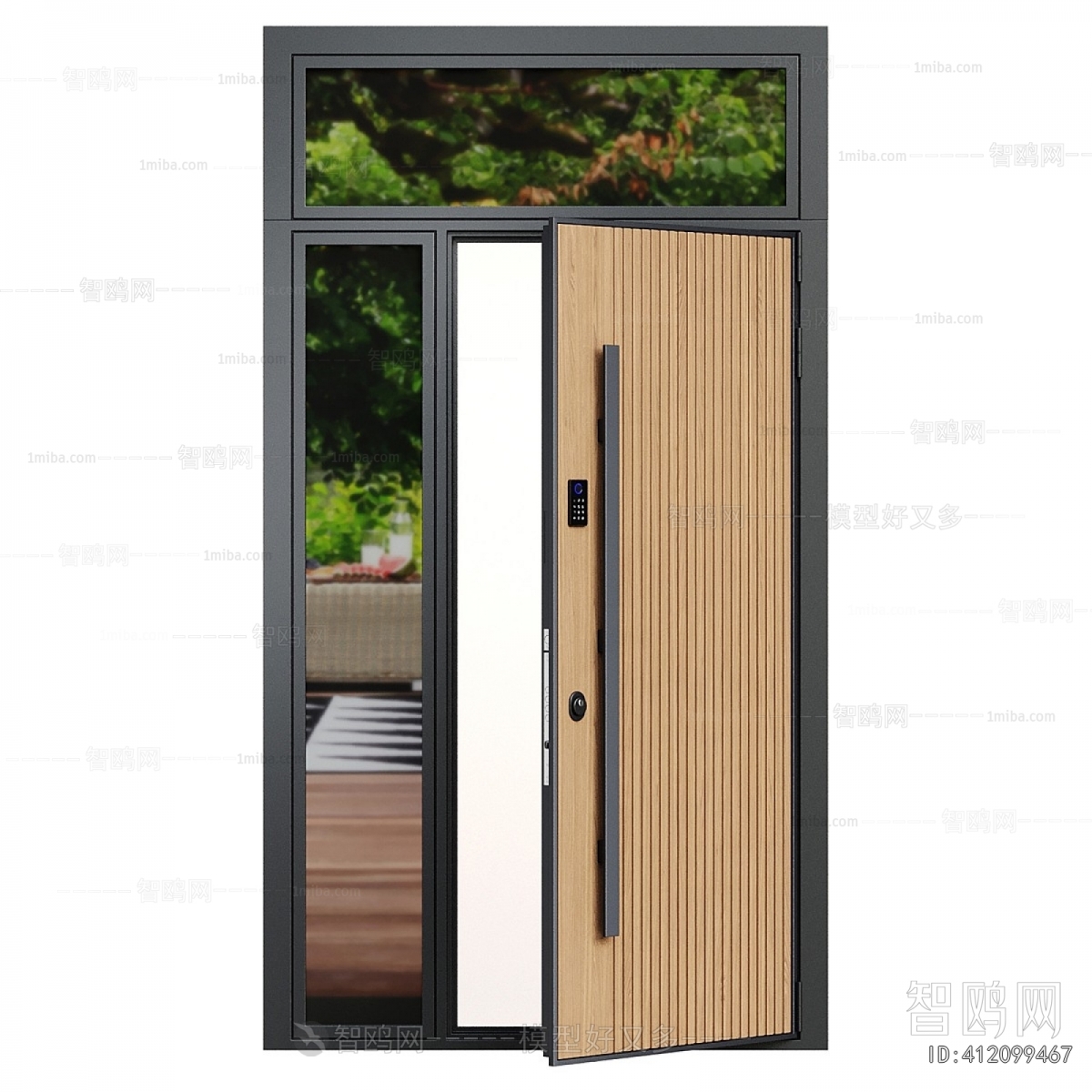 Modern Entrance Door