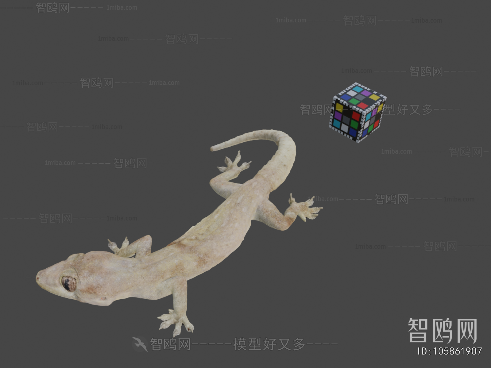 Modern Animal