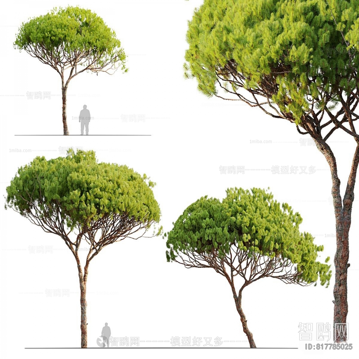 Modern Tree