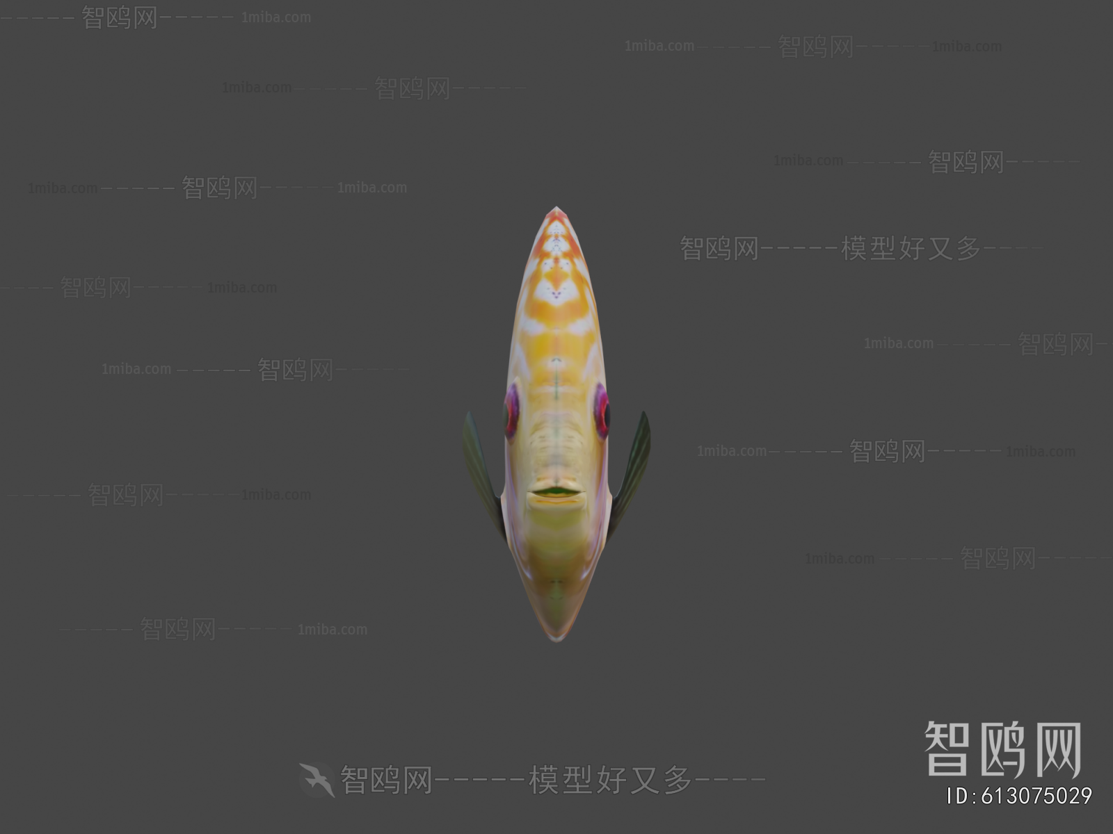 Modern Aquatic Animals