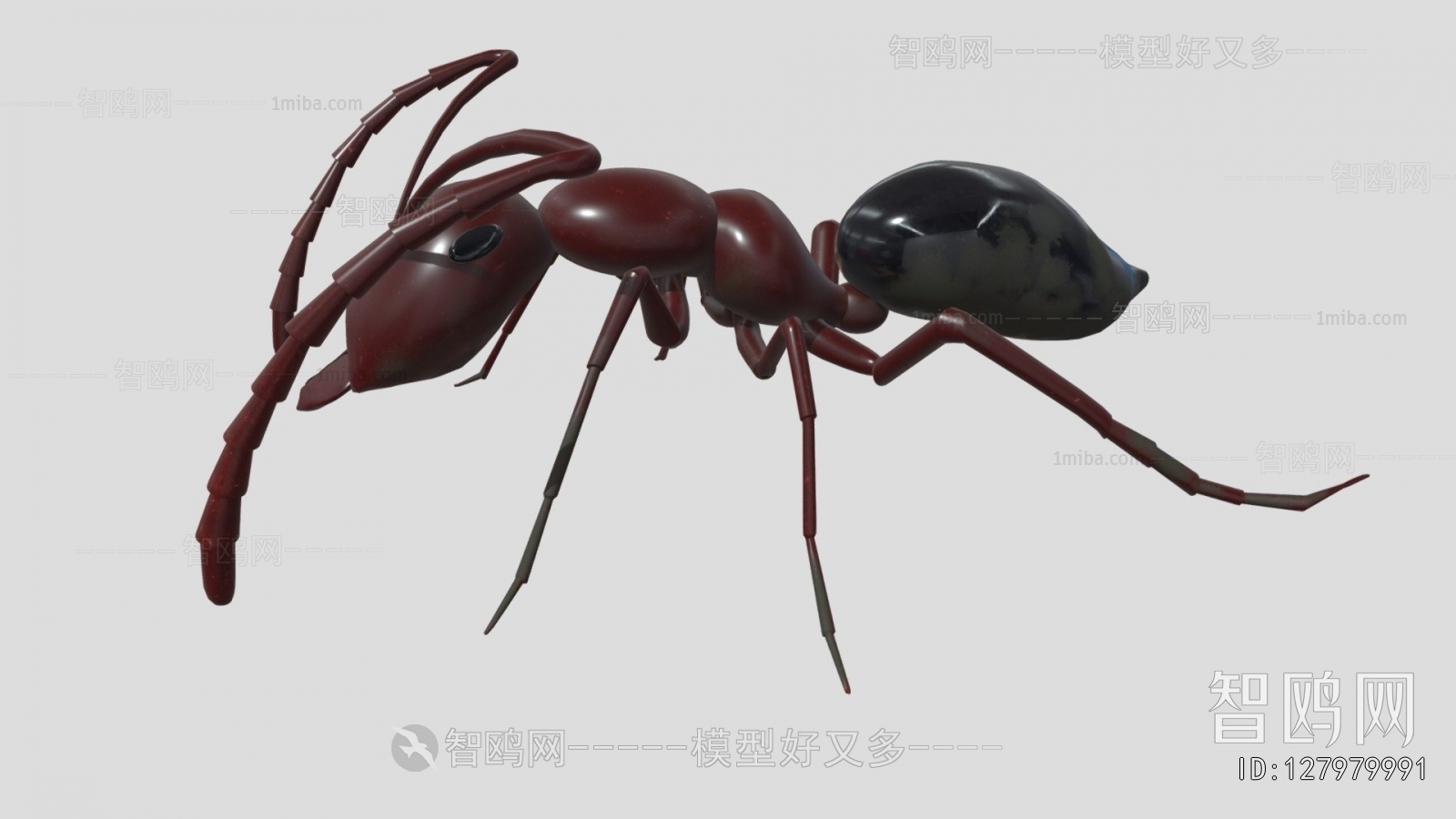 Modern Animal