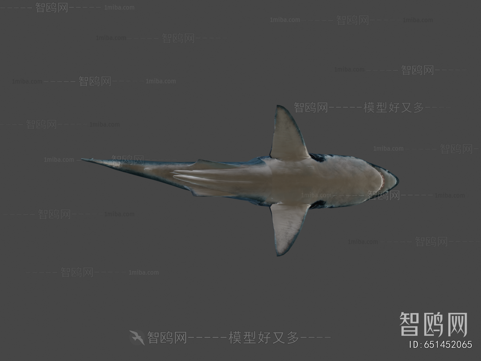 Modern Aquatic Animals