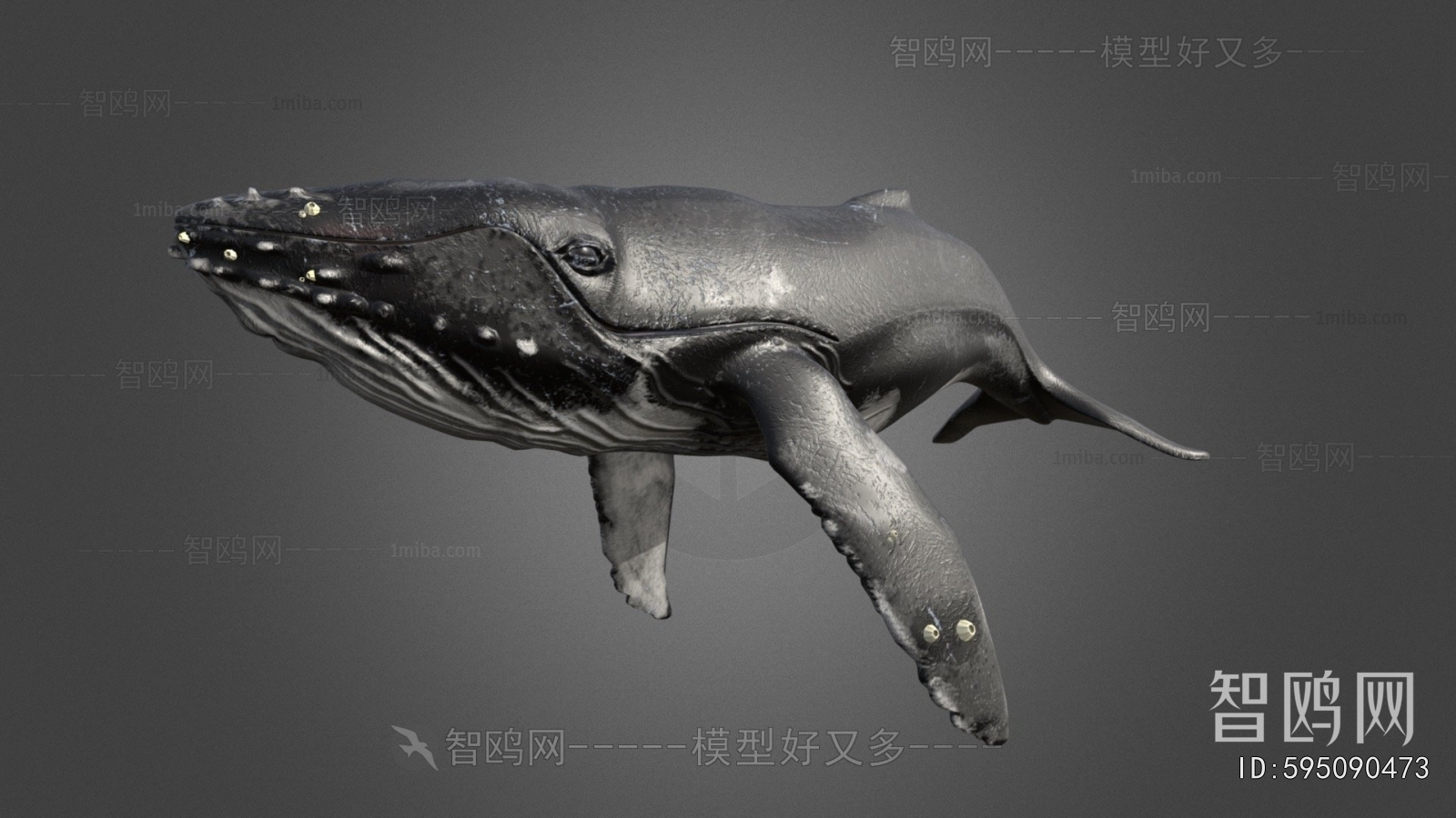 Modern Animal