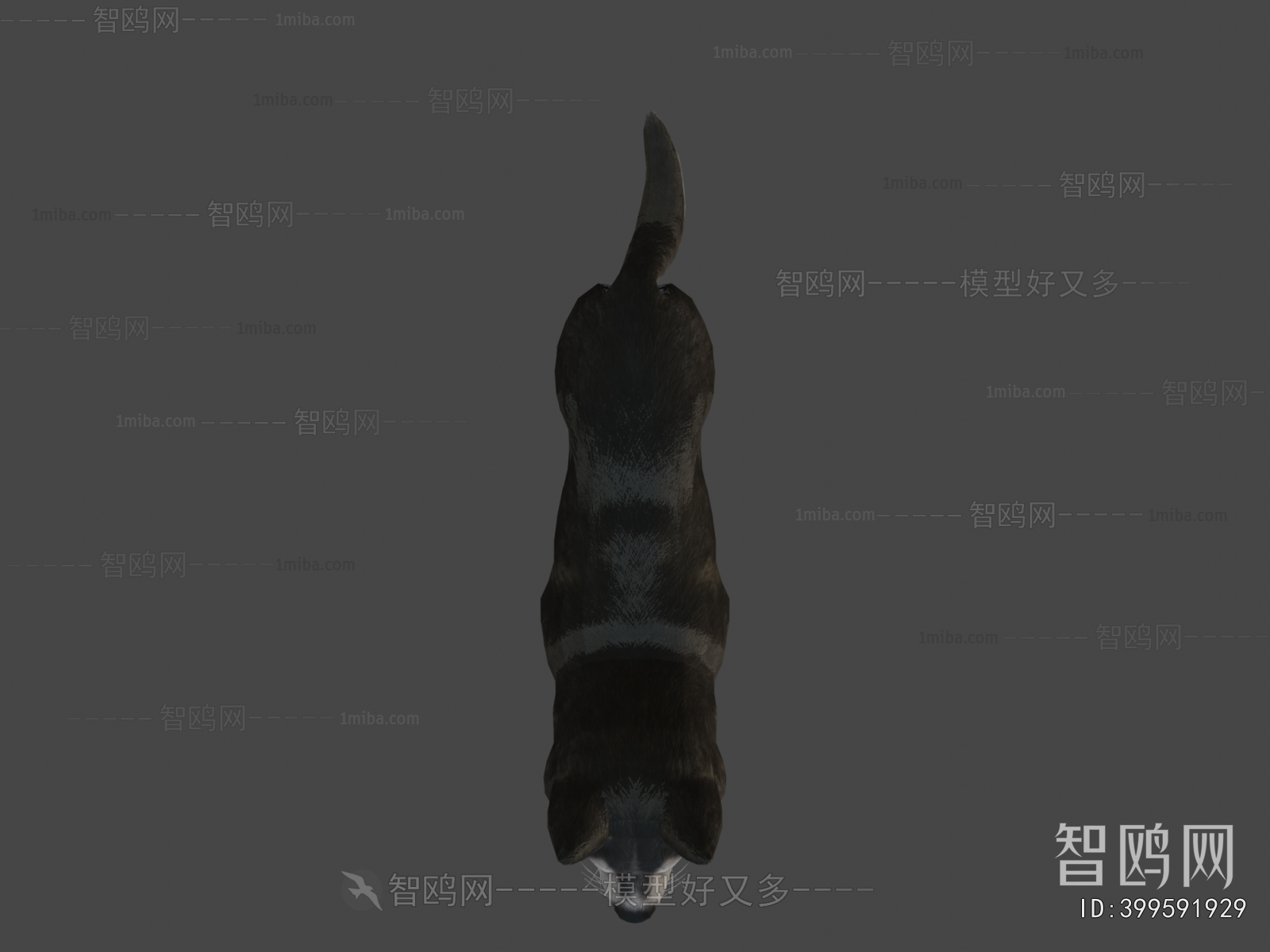Modern Animal Dog