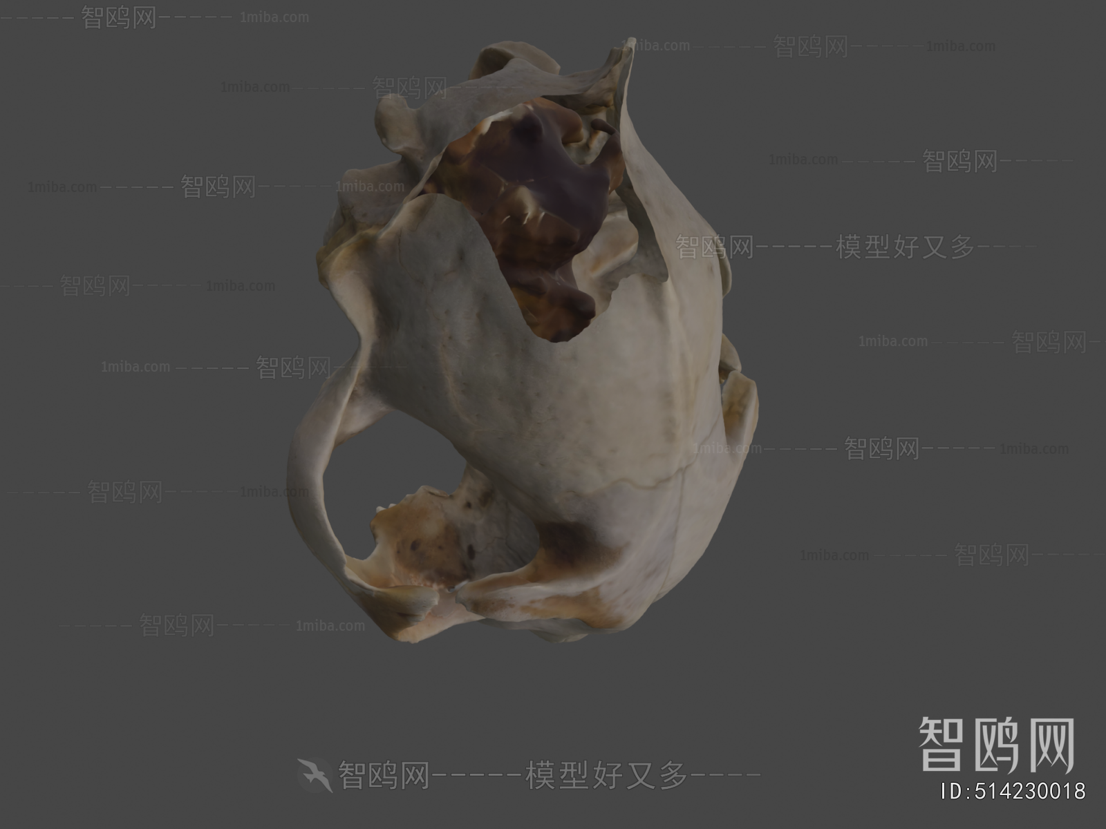 Modern Medical Equipment