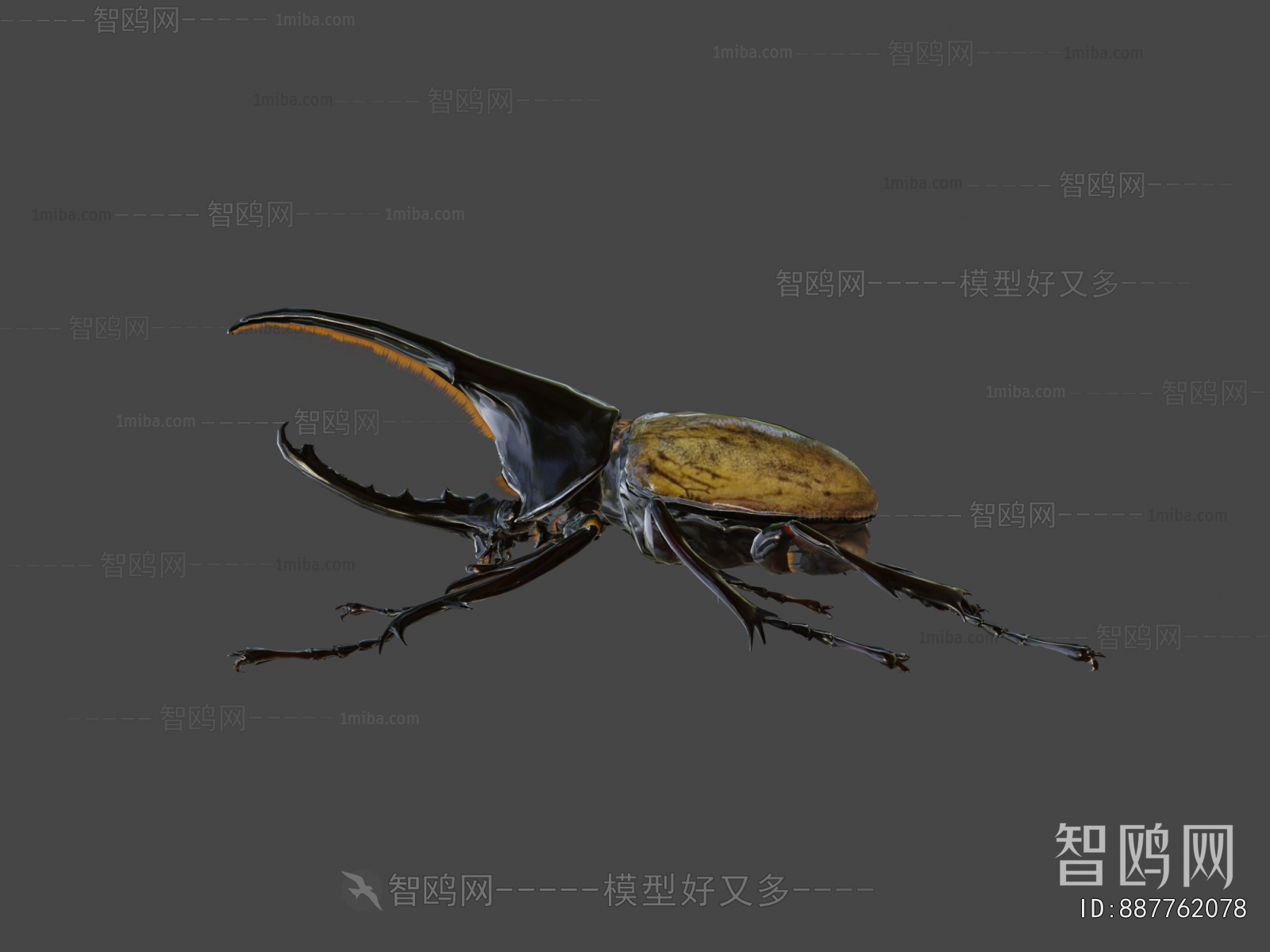 Modern Animal