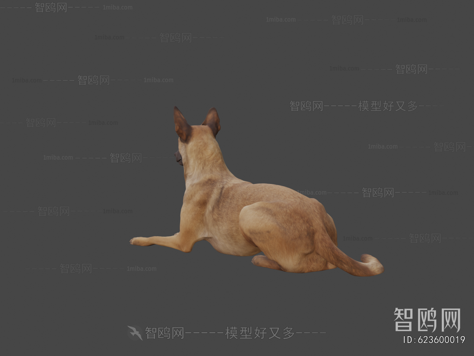 Modern Animal