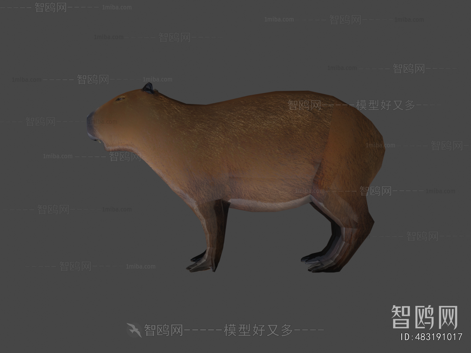 Modern Mammal