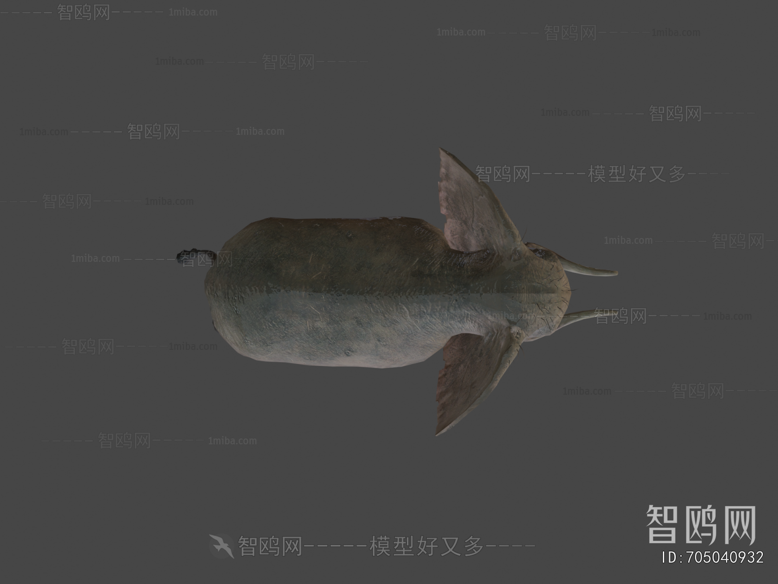 Modern Animal