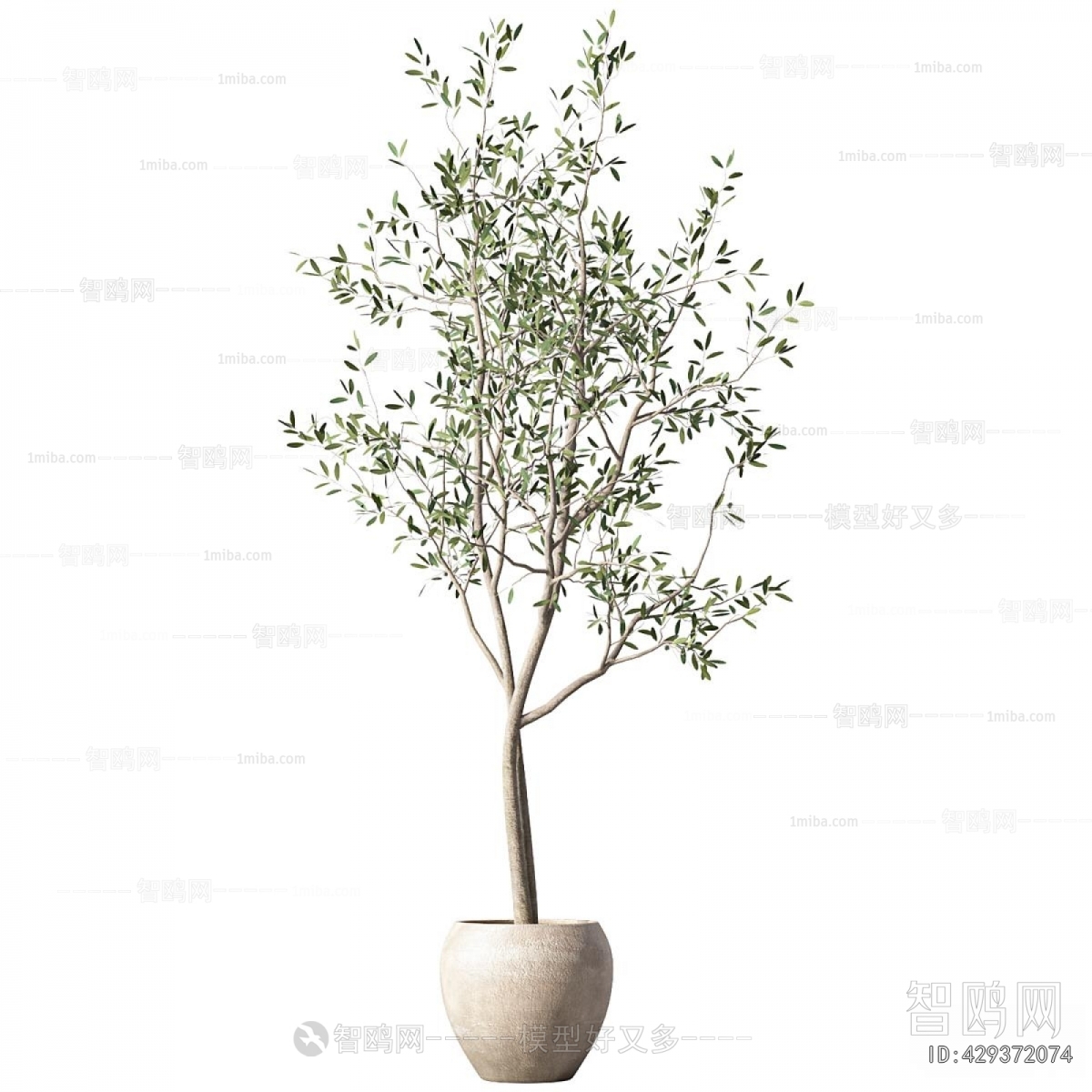 Modern Ground Green Plant Potted Plants