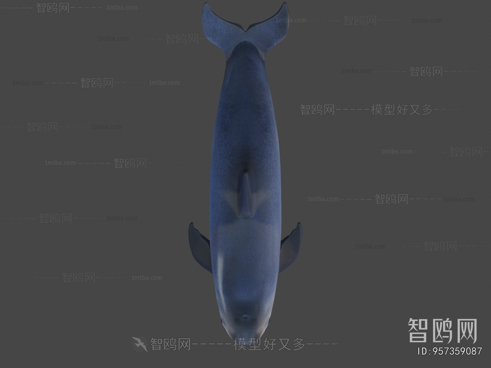 Modern Animal