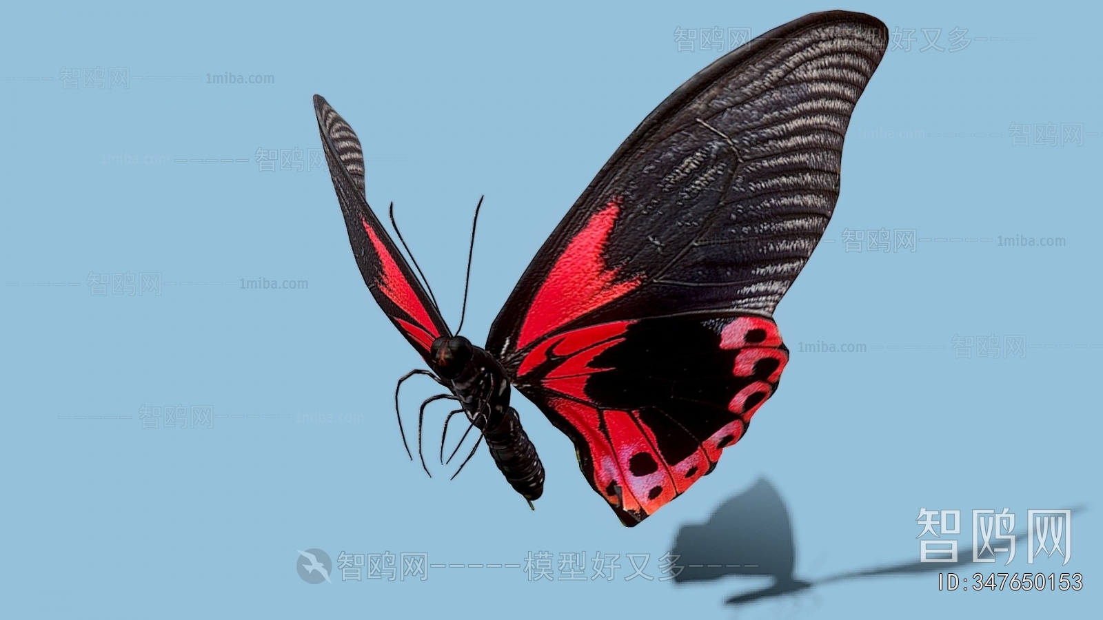 Modern Animal