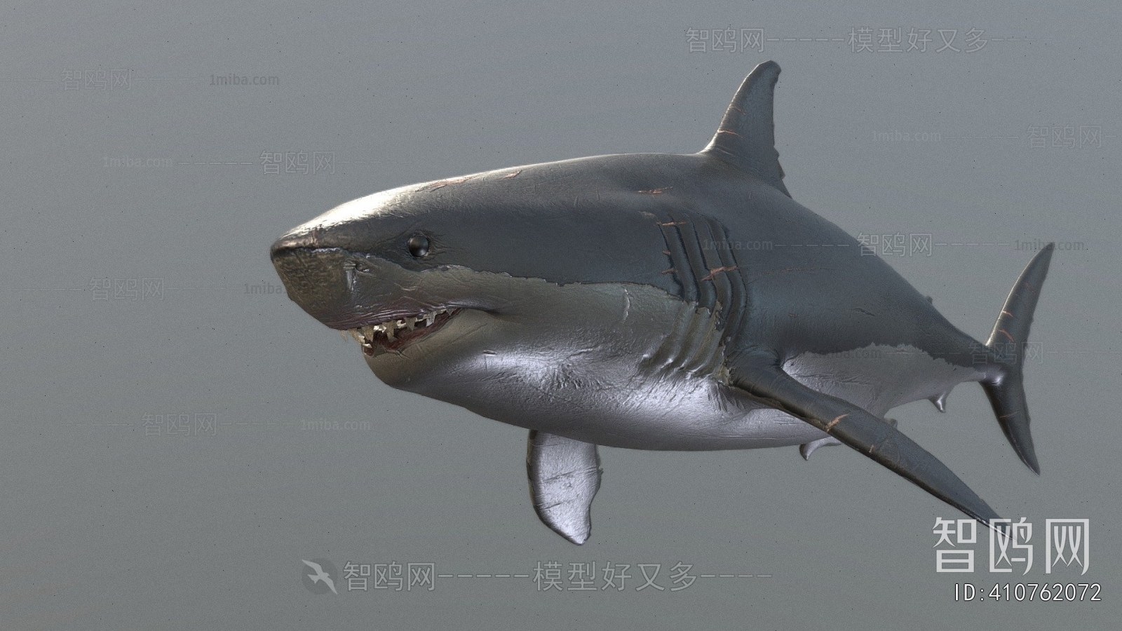 Modern Aquatic Animals