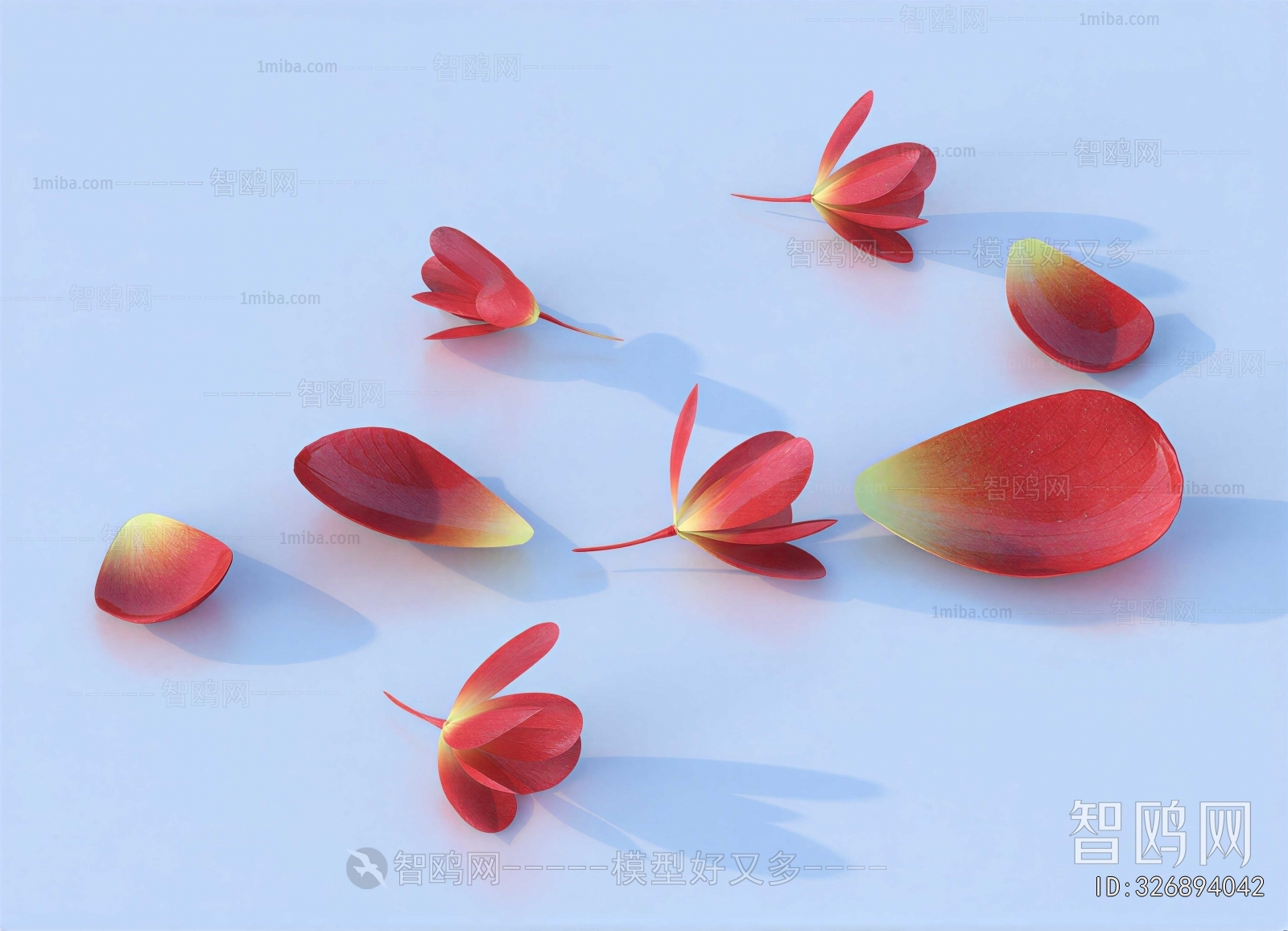 Modern Flowers And Grass