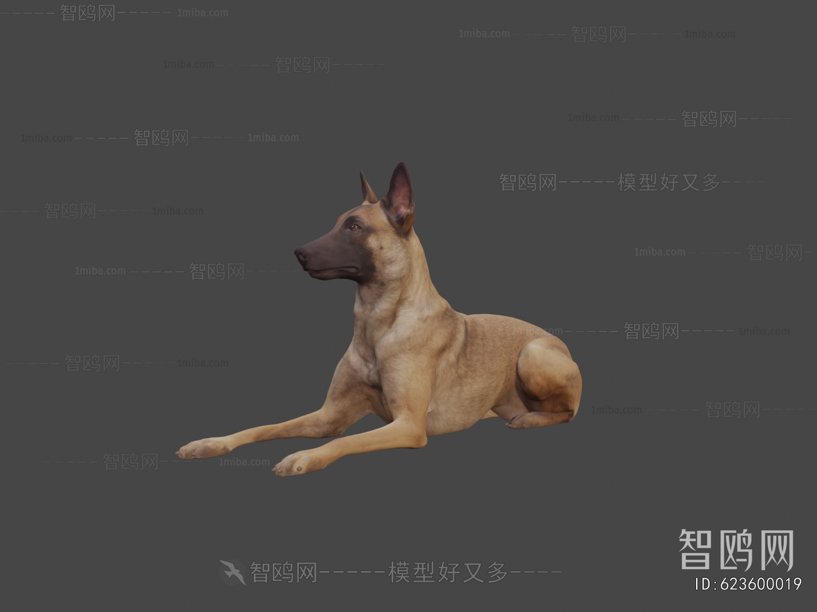 Modern Animal