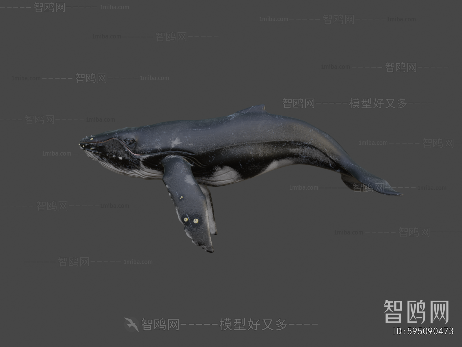 Modern Animal