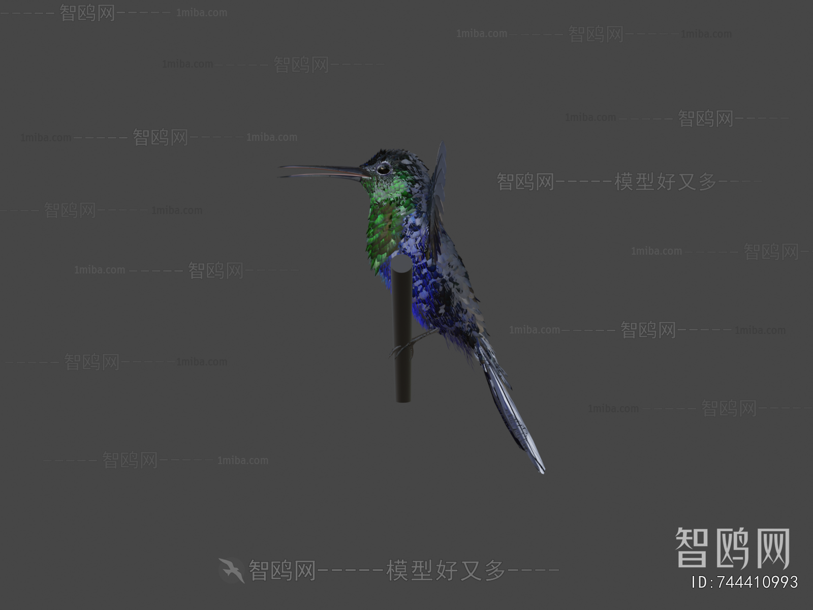 Modern Animal