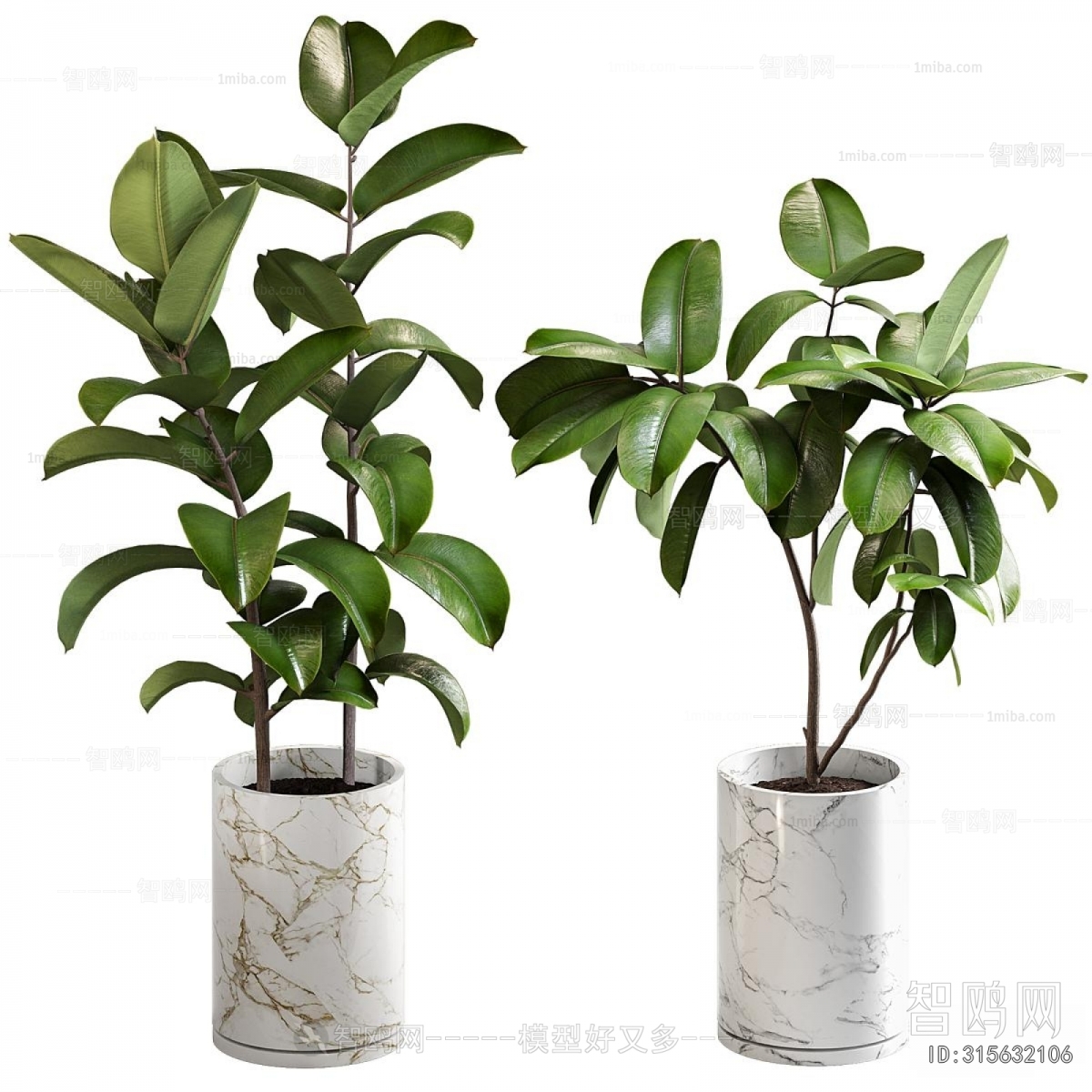 Modern Ground Green Plant Potted Plants