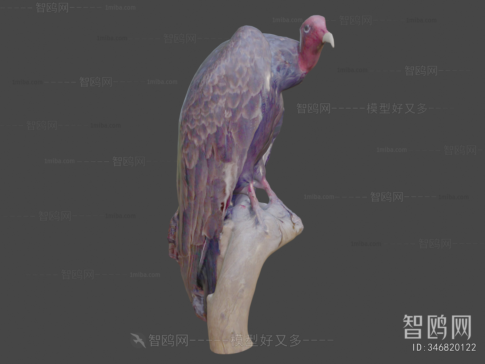 Modern Animal