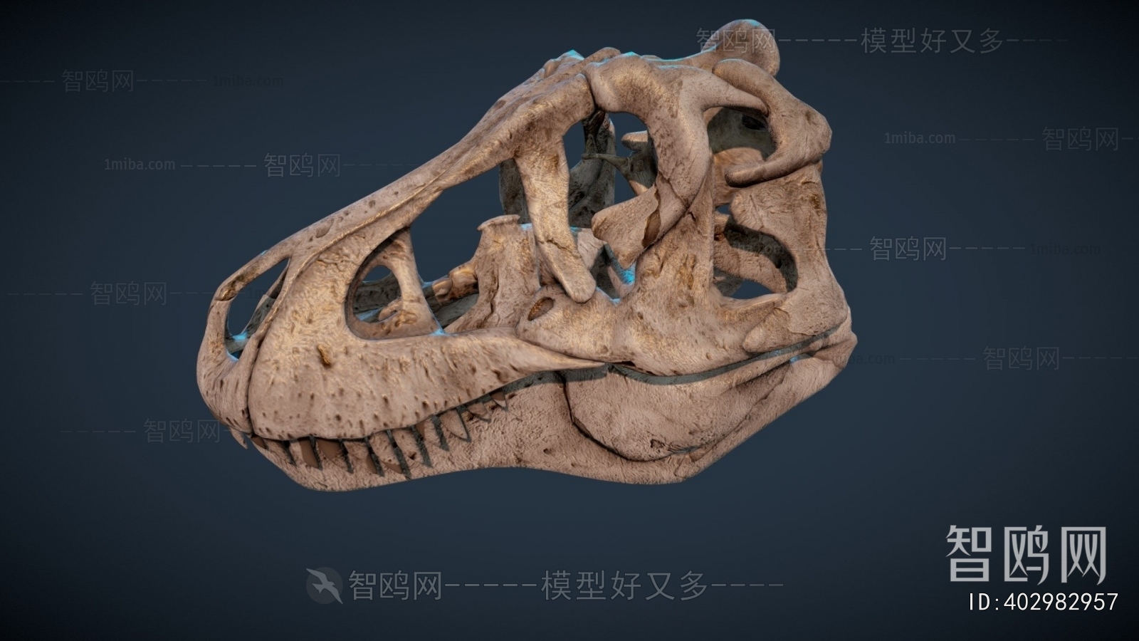 Modern Medical Equipment