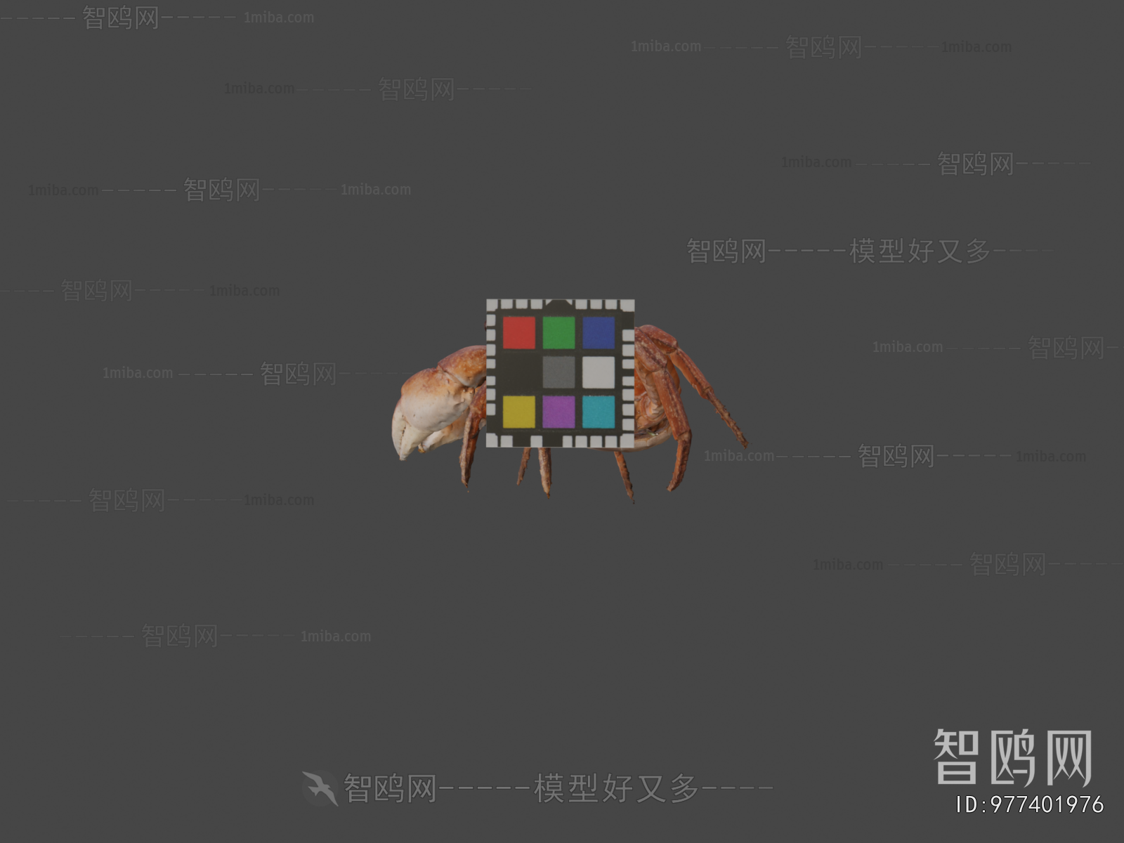 Modern Animal