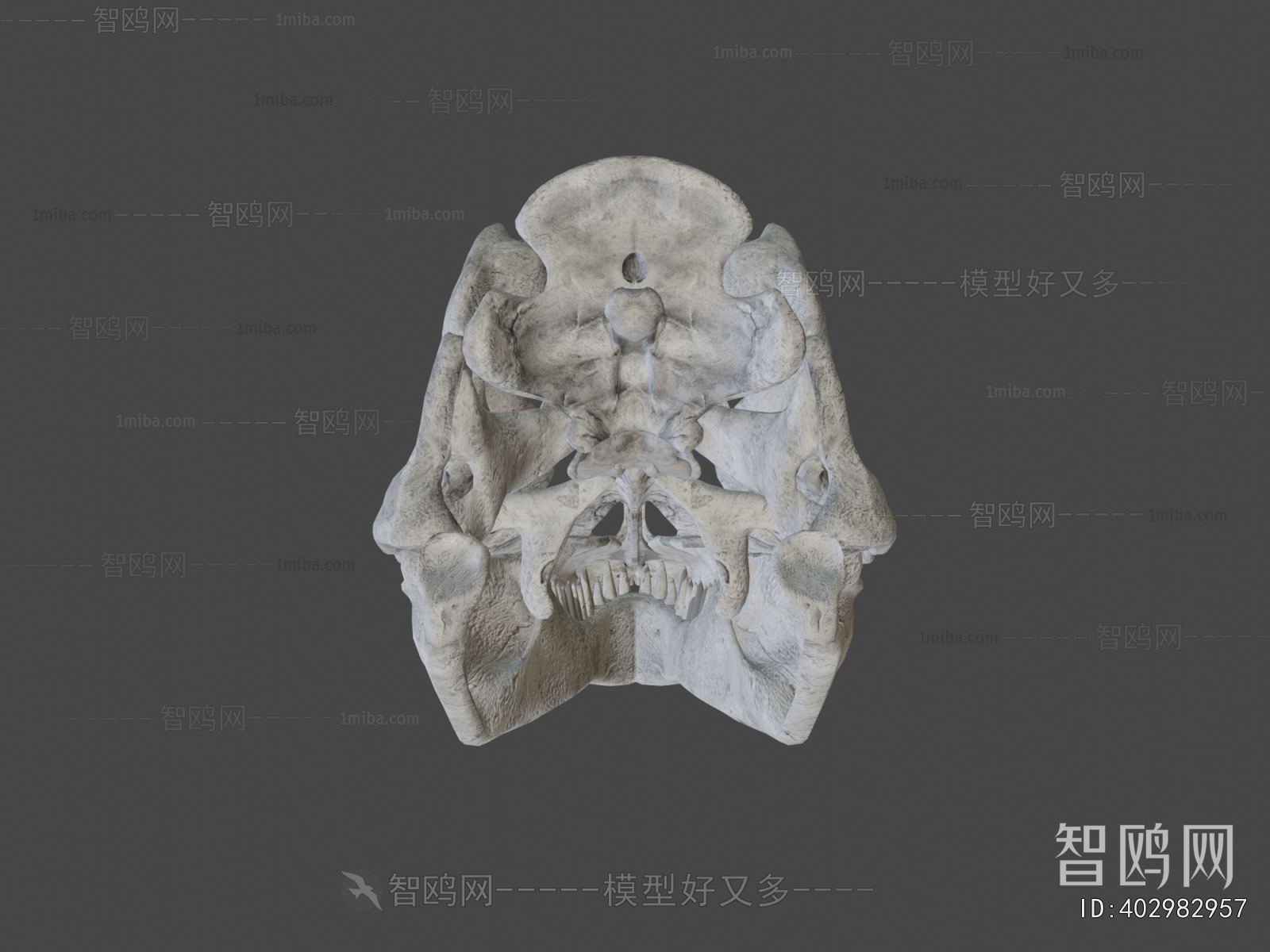 Modern Medical Equipment