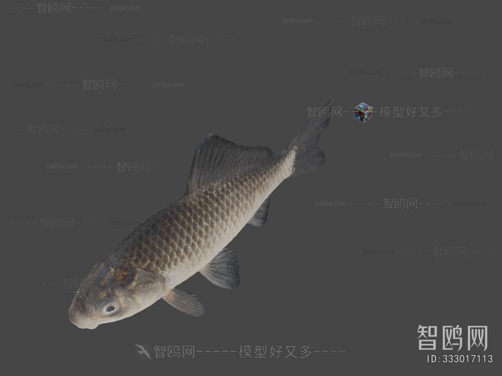 Modern Aquatic Animals