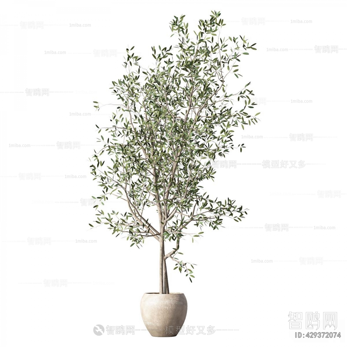 Modern Ground Green Plant Potted Plants