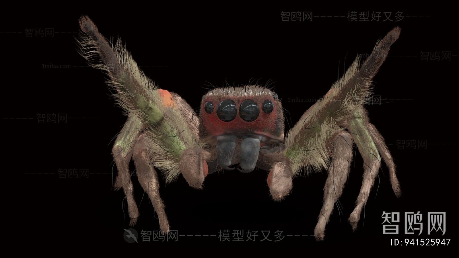 Modern Animal