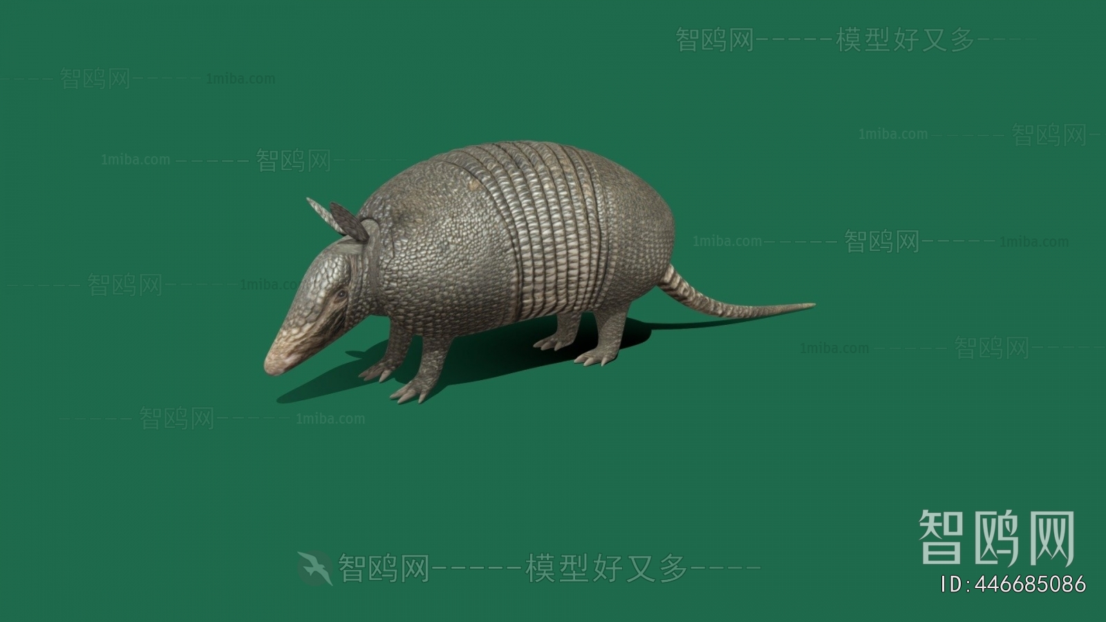Modern Reptile