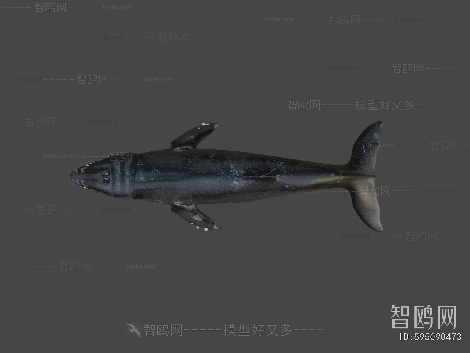 Modern Animal