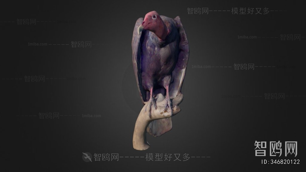 Modern Animal