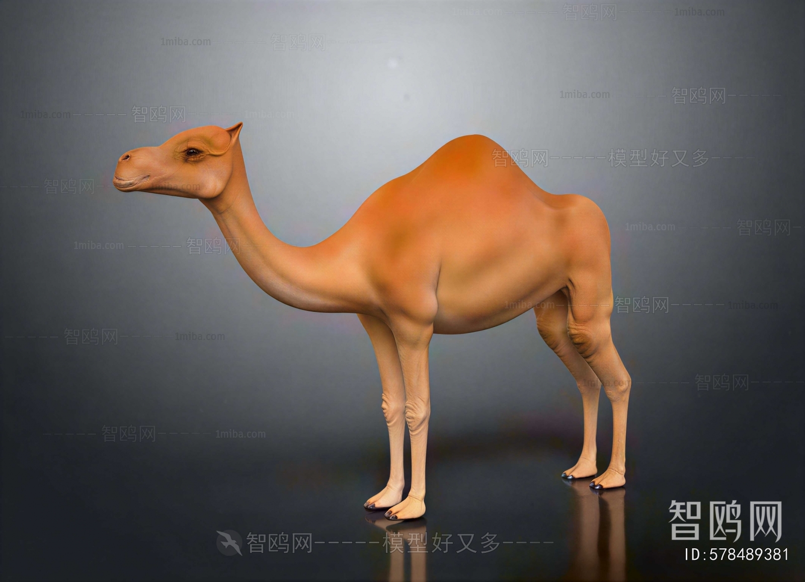 Modern Mammal
