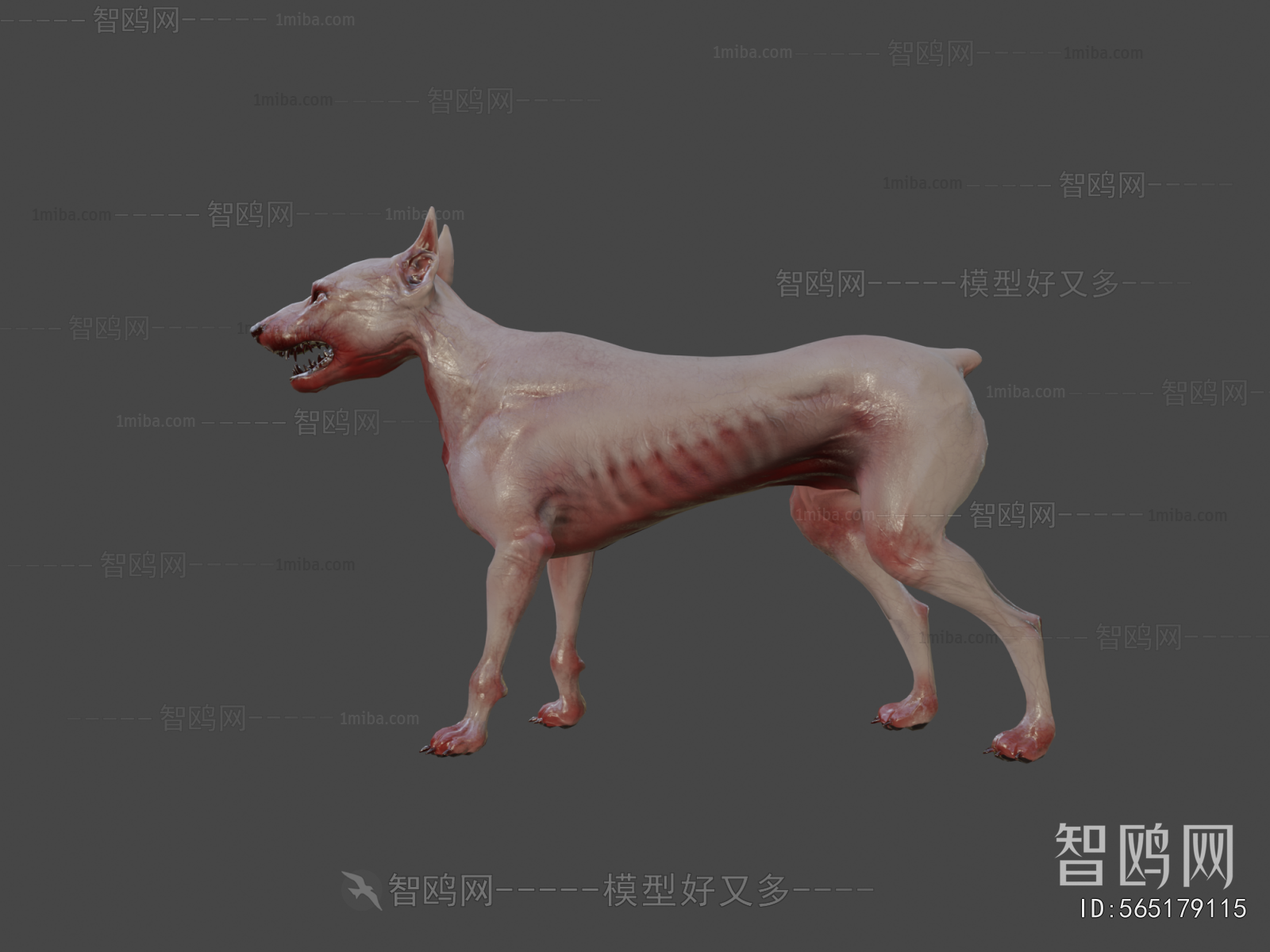 Modern Animal Dog