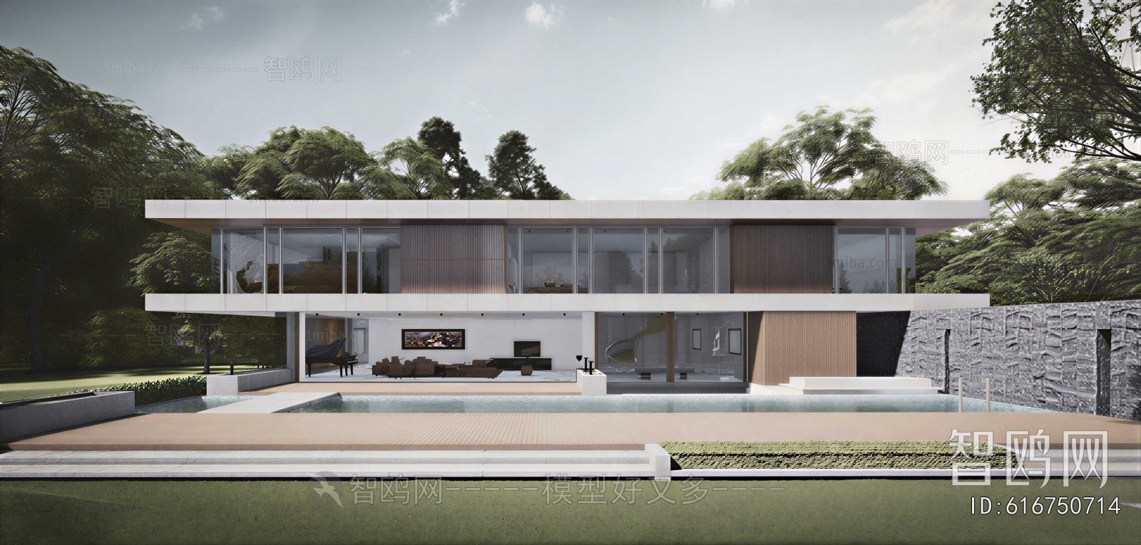 Modern Villa Appearance