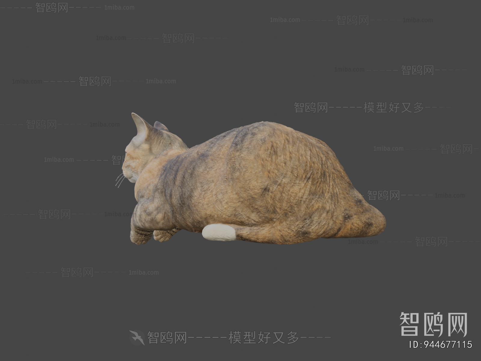 Modern Animal Cat