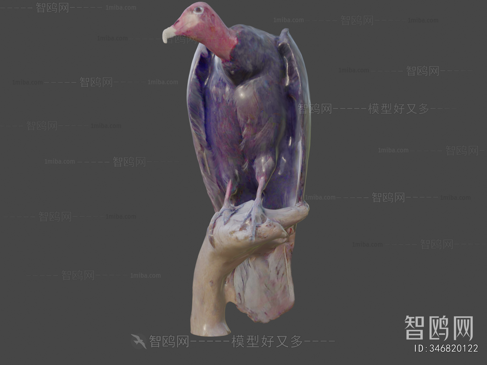 Modern Animal