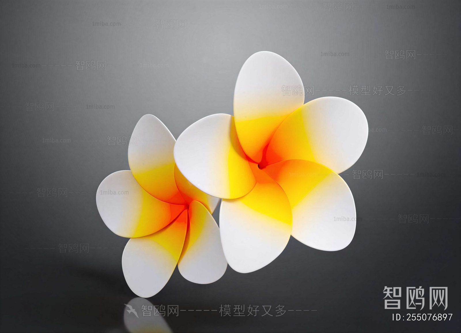 Modern Flowers And Grass