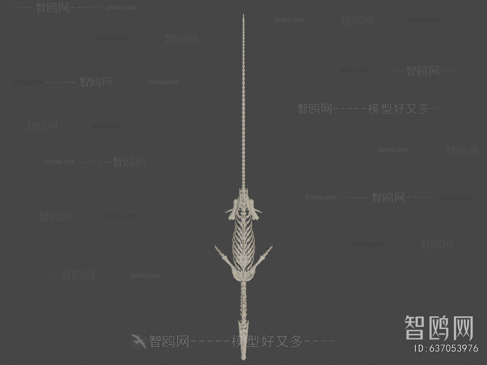 Modern Animal