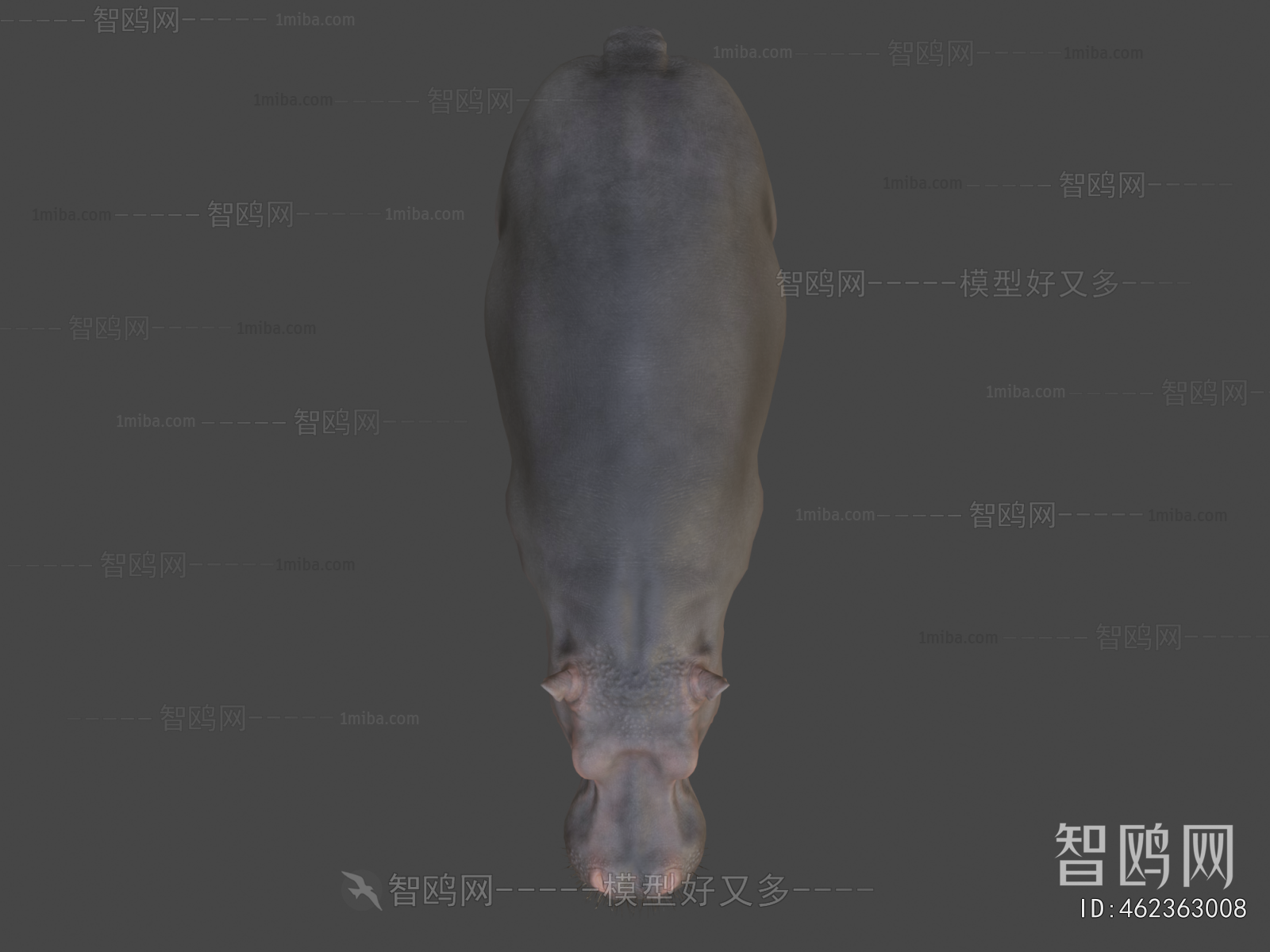Modern Animal