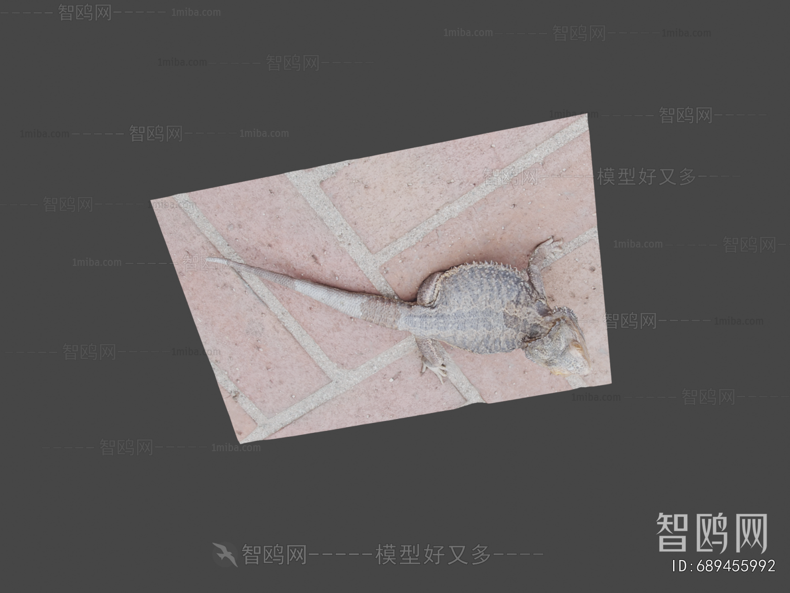 Modern Animal