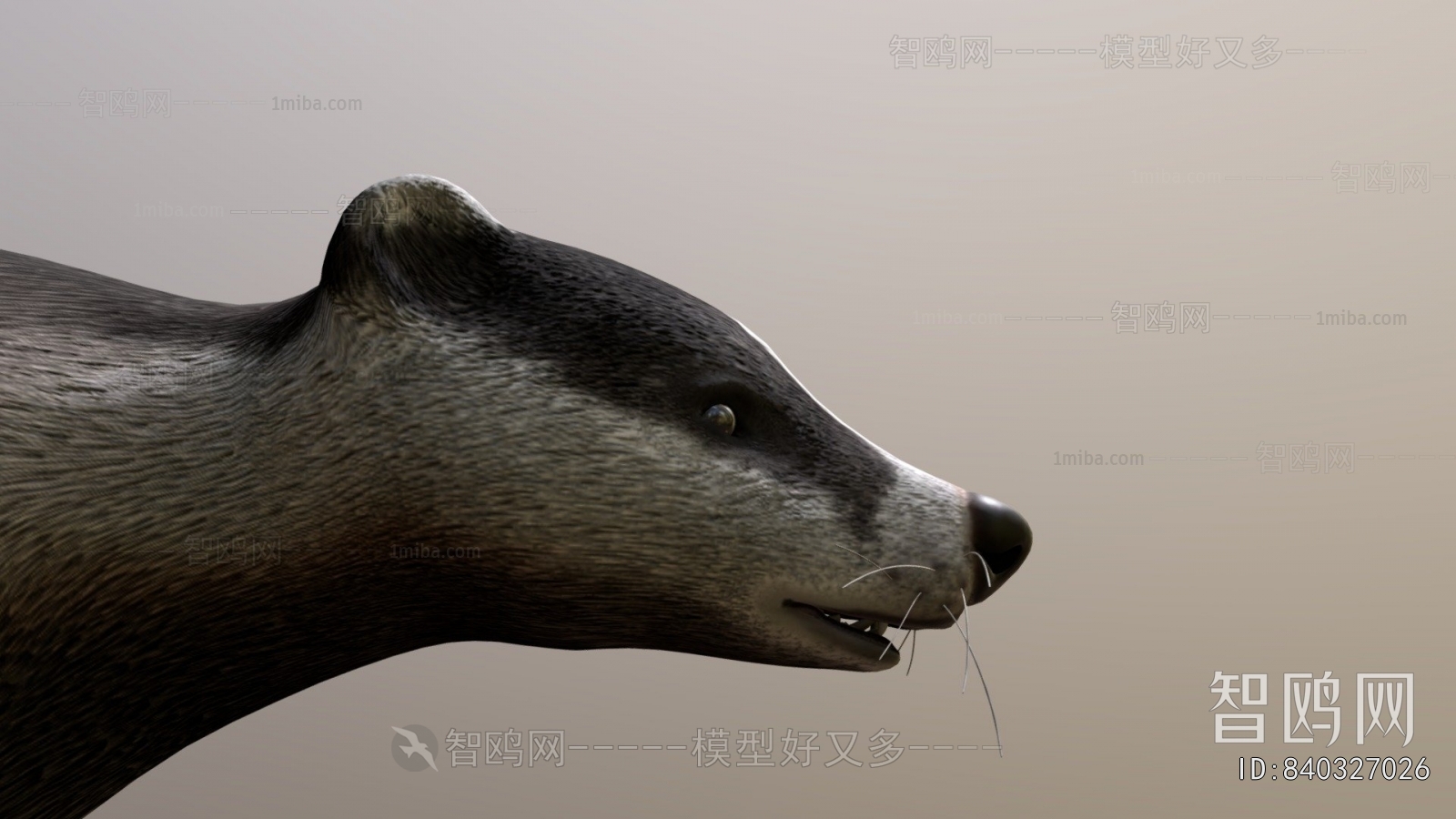 Modern Animal