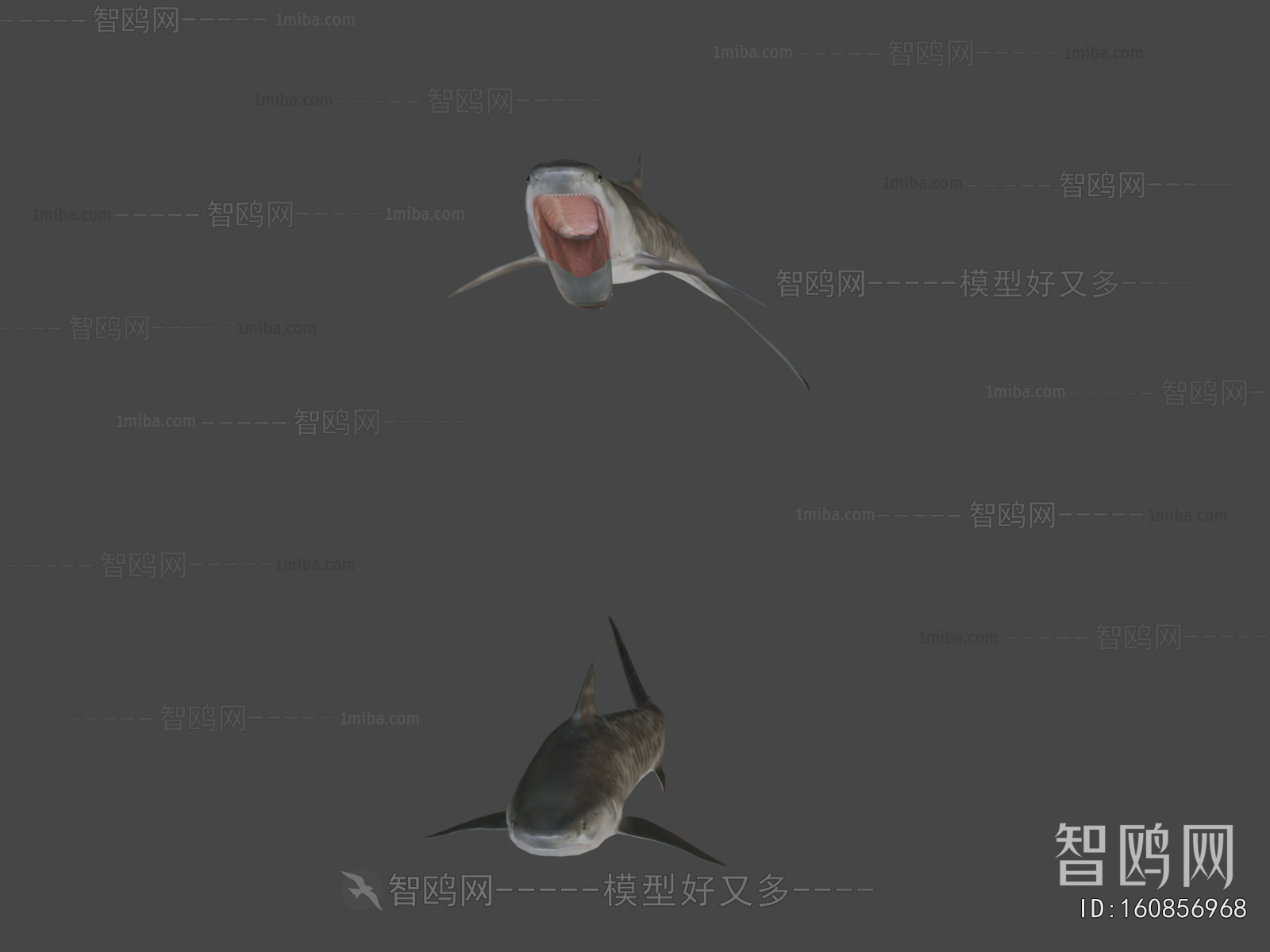 Modern Aquatic Product