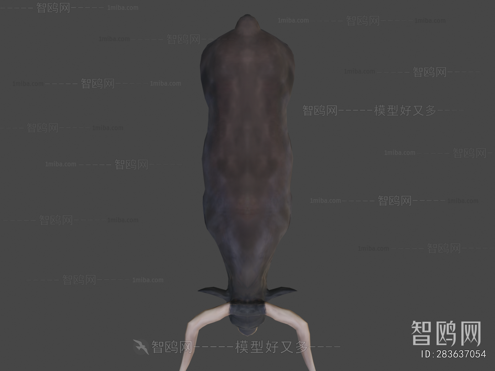 Modern Mammal