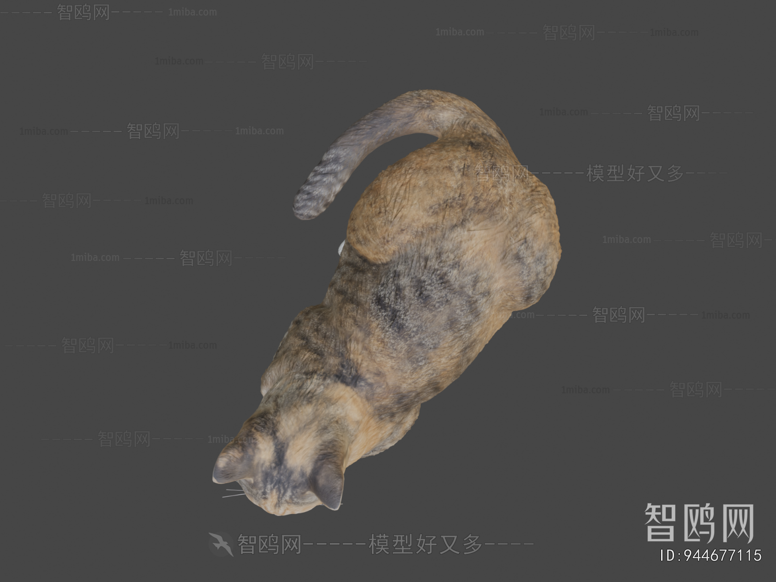 Modern Animal Cat