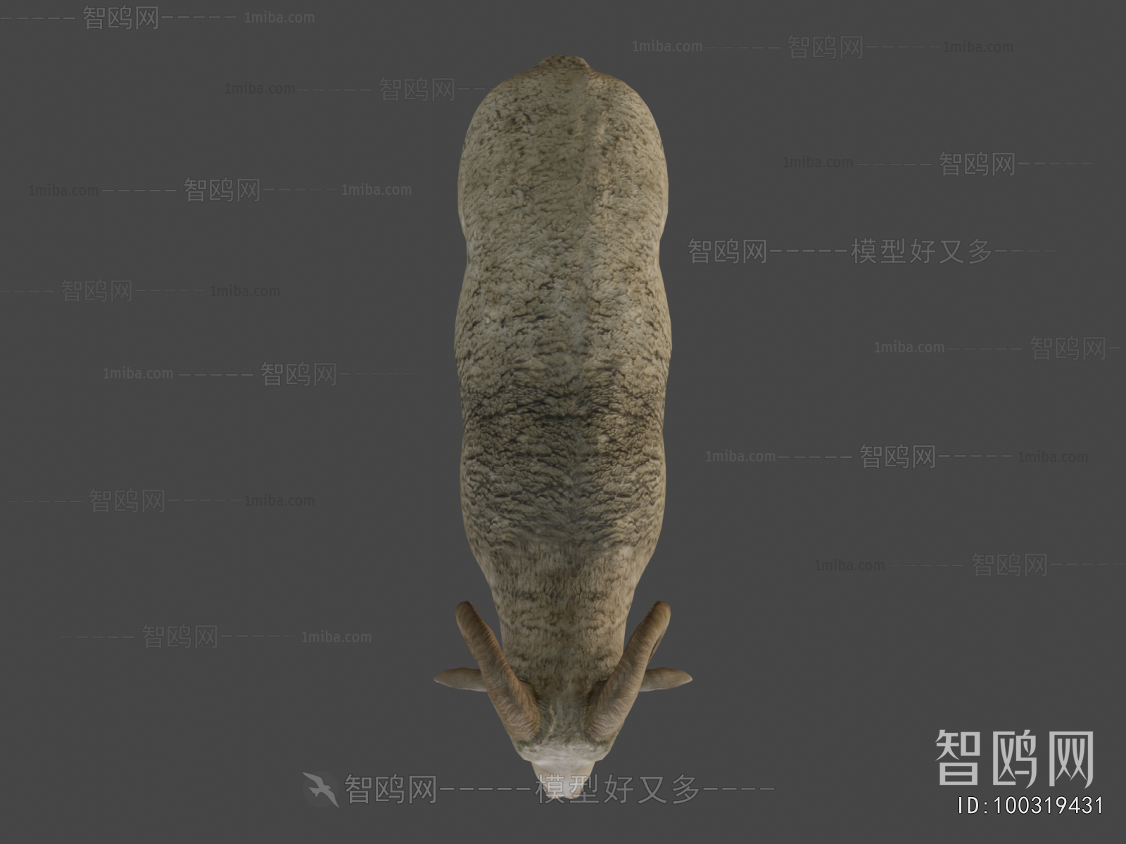 Modern Animal
